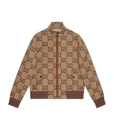 straight jackets gucci|Gucci jacket price.